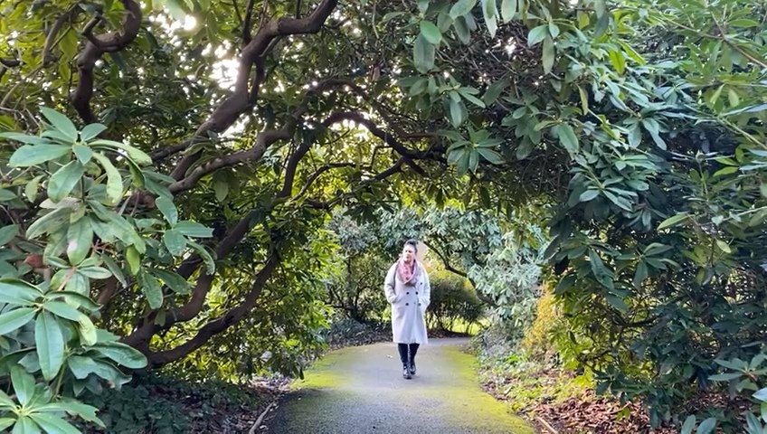A woman walking on a pathway surrounded by lush green trees and bushes in a park.