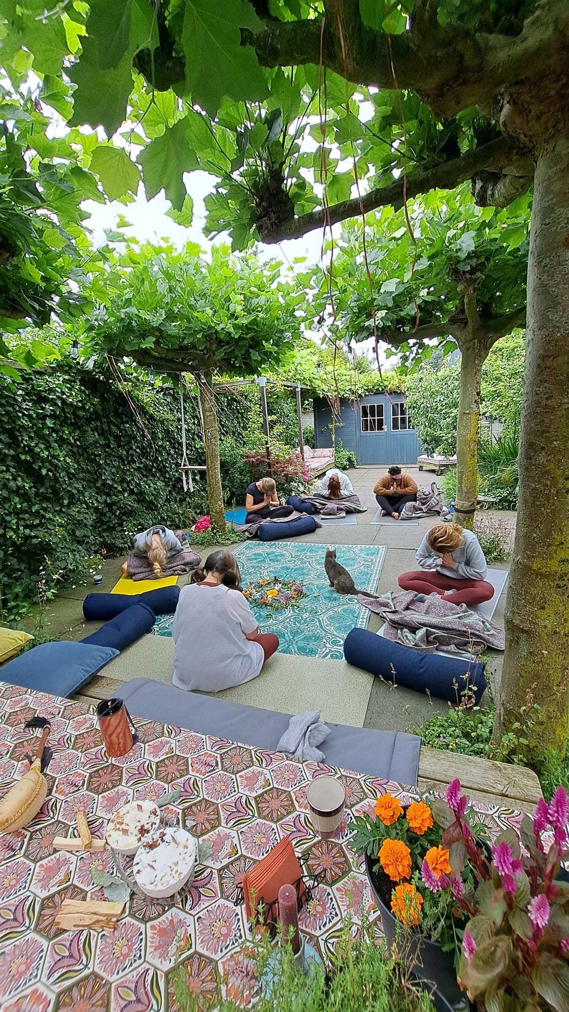 People meditating outdoors on mats under green trees, surrounded by shrubs; a table with a patterned cloth and snacks is visible in the foreground.