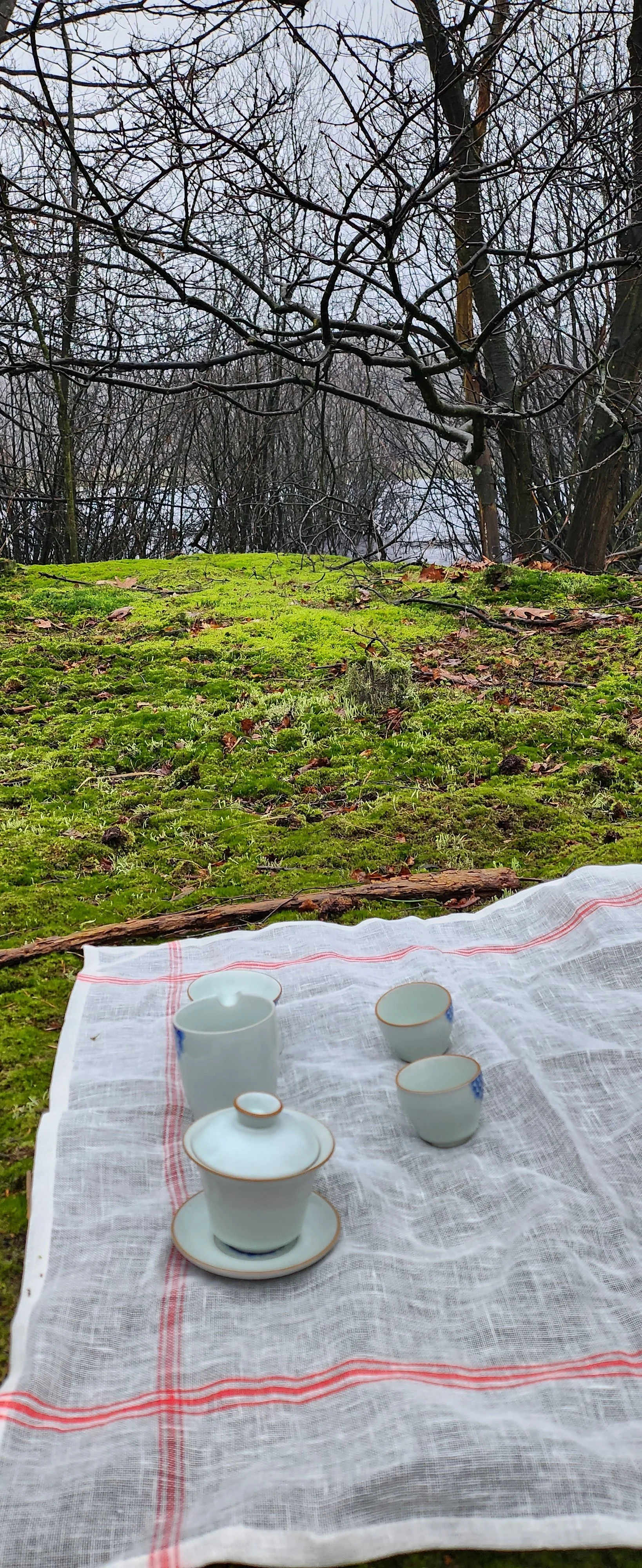 Picnic setup with tea set on a white cloth in a mossy forest area, surrounded by bare trees.