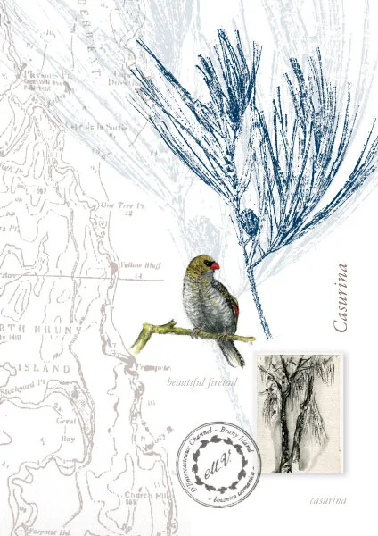 CollageCards6.jpg