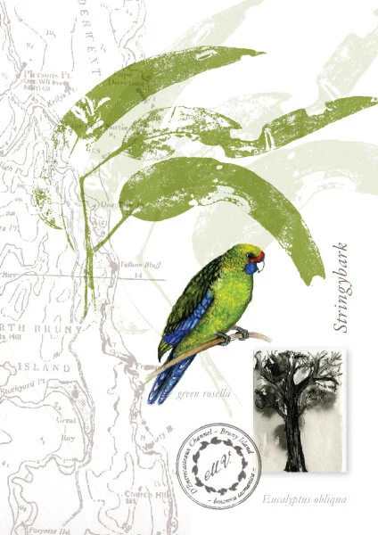 CollageCards9.jpg