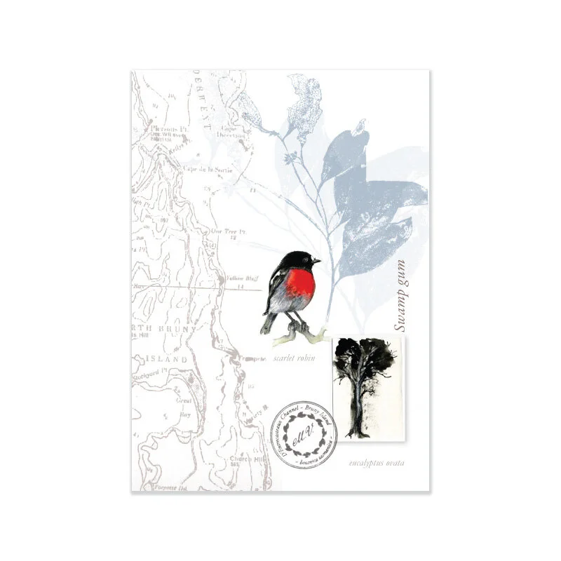 Naturalist Notebooks — Swamp Gum