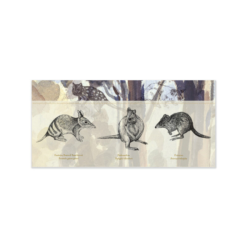 Marsupials 2 — Flora &amp; Fauna of Tasmania Series
