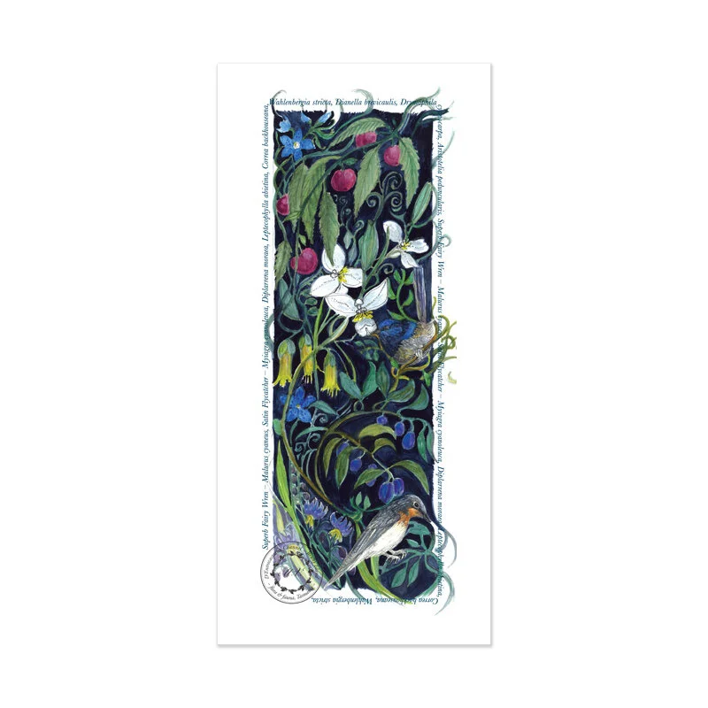 Botanica Tasmanica  — Postcard