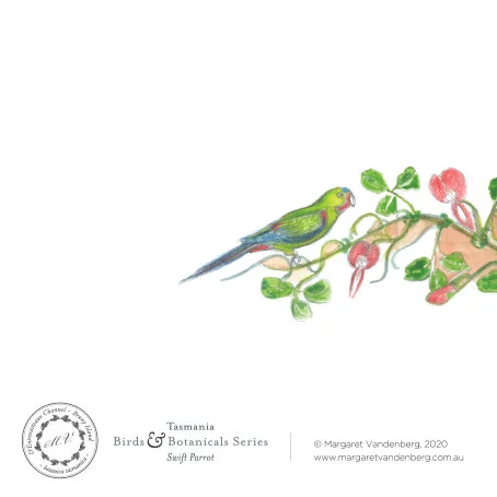 mv-birdsbotanicals-swiftparrot-back.jpg