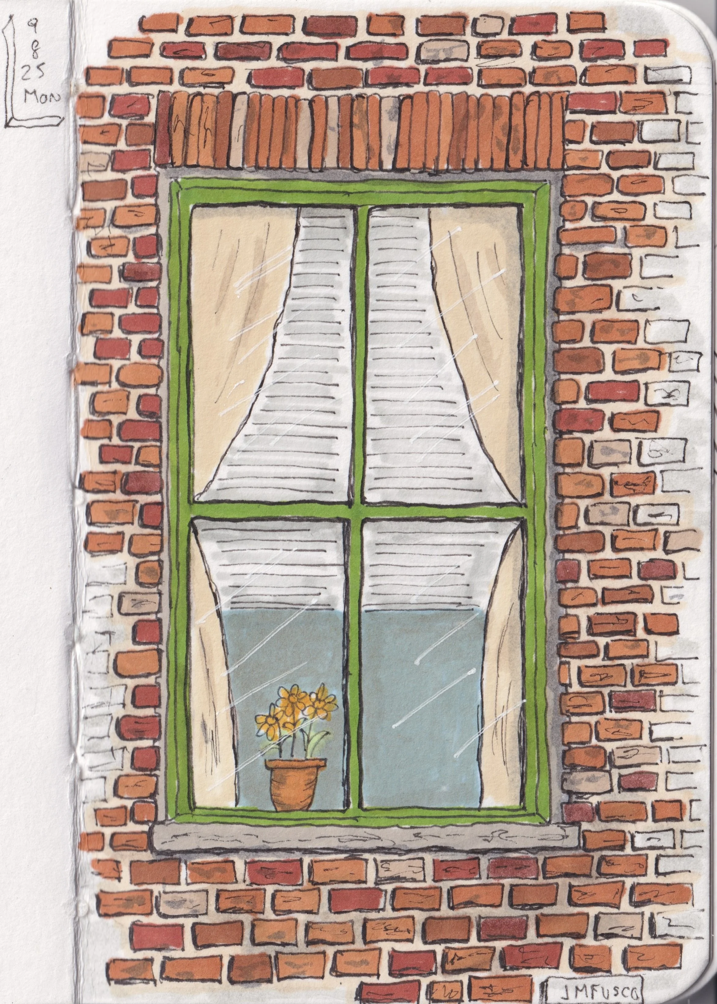 The flower in the window