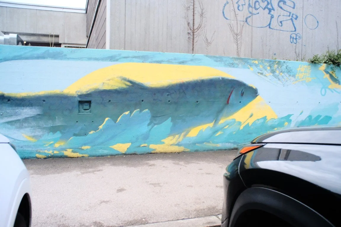 DSCF0103 (Mittel).JPG