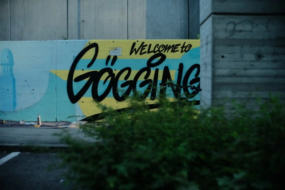 DSCF9933 (Mittel).JPG