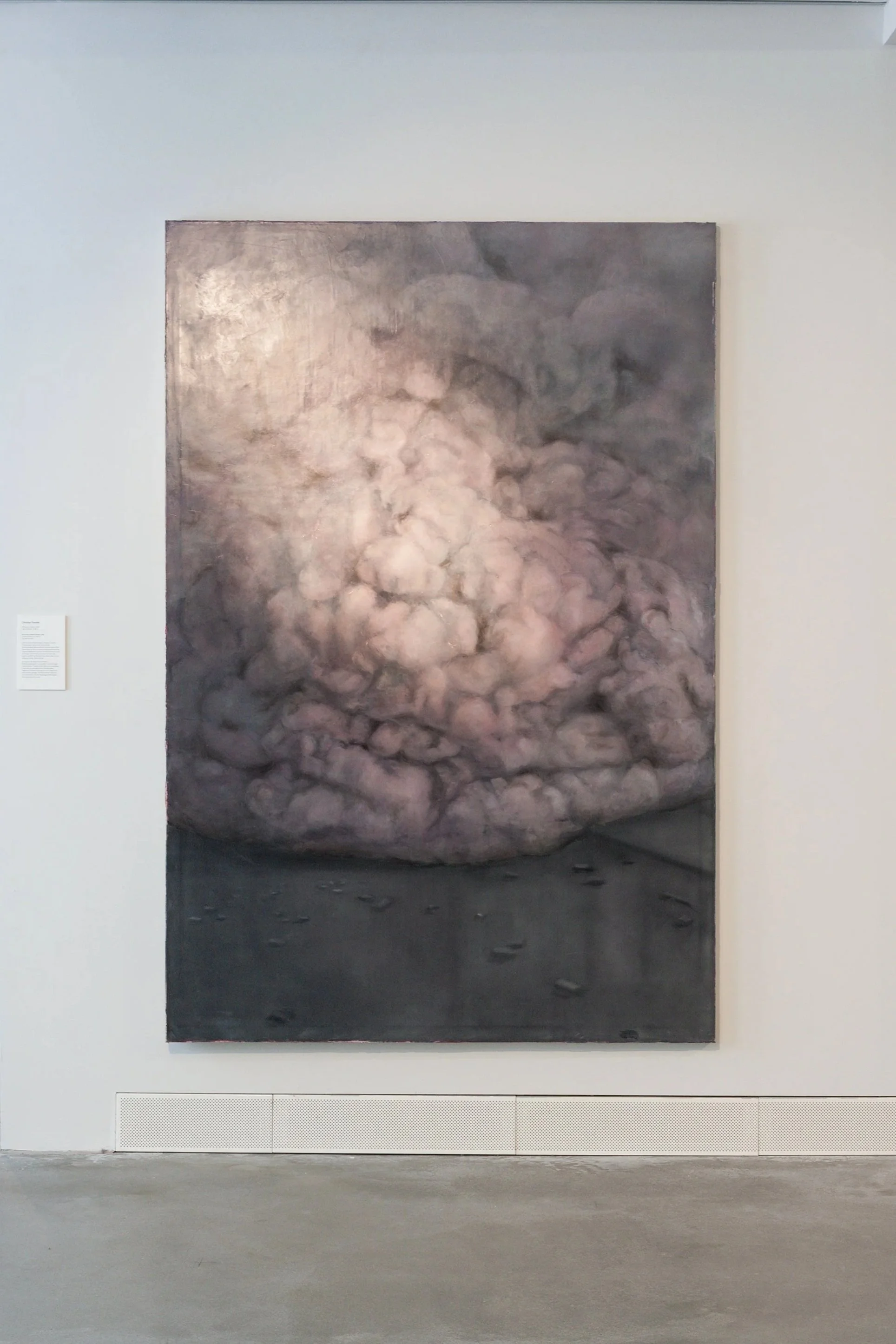 Christian Thoelke
Schwarze Wolke (Kollaps), 2025, Öl auf Leinwand, 210 x 140 cm, Courtesy the artist
Foto: ©Waldemar Brzezinski