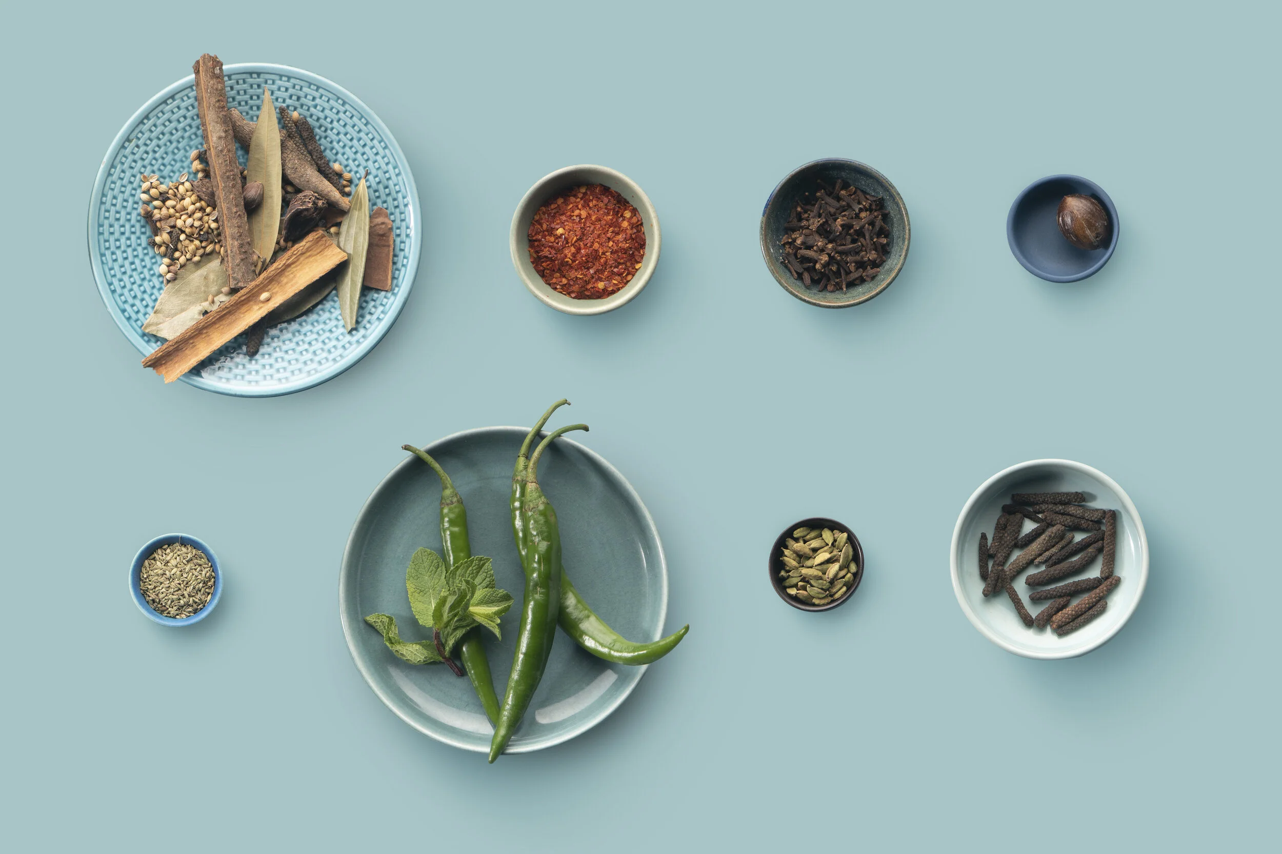 Cocktail Samosa-Spices.jpg
