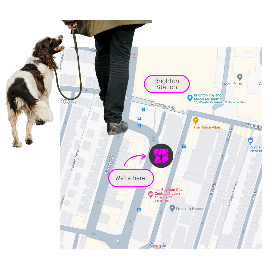 Map of Brighton with a person holding a dog on a leash, indicating their location near Surrey Street and Trafalgar Street, with labels for Brighton Station and a message saying 'We're here!'