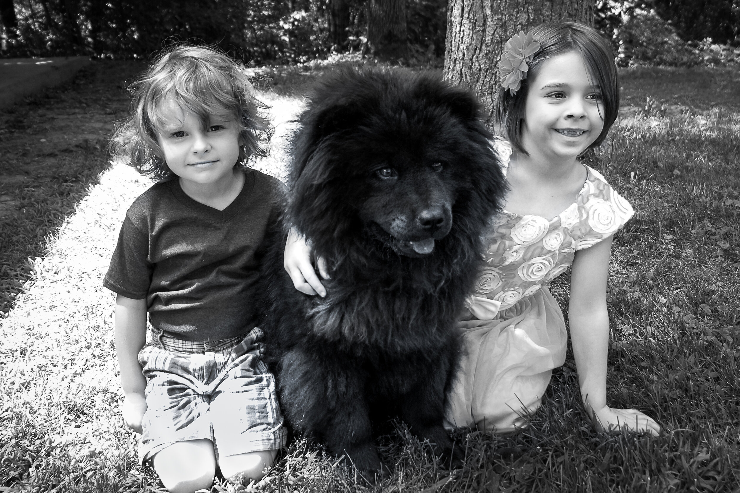 summer_2019-30.jpg
