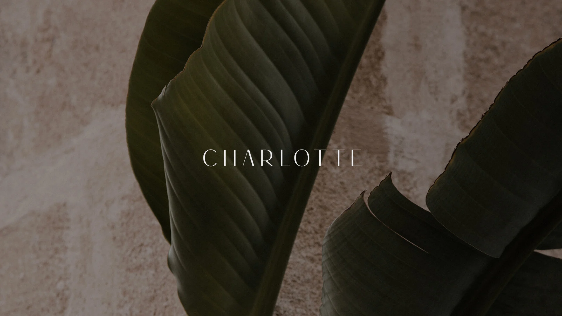 Charlotte Vintage Décor