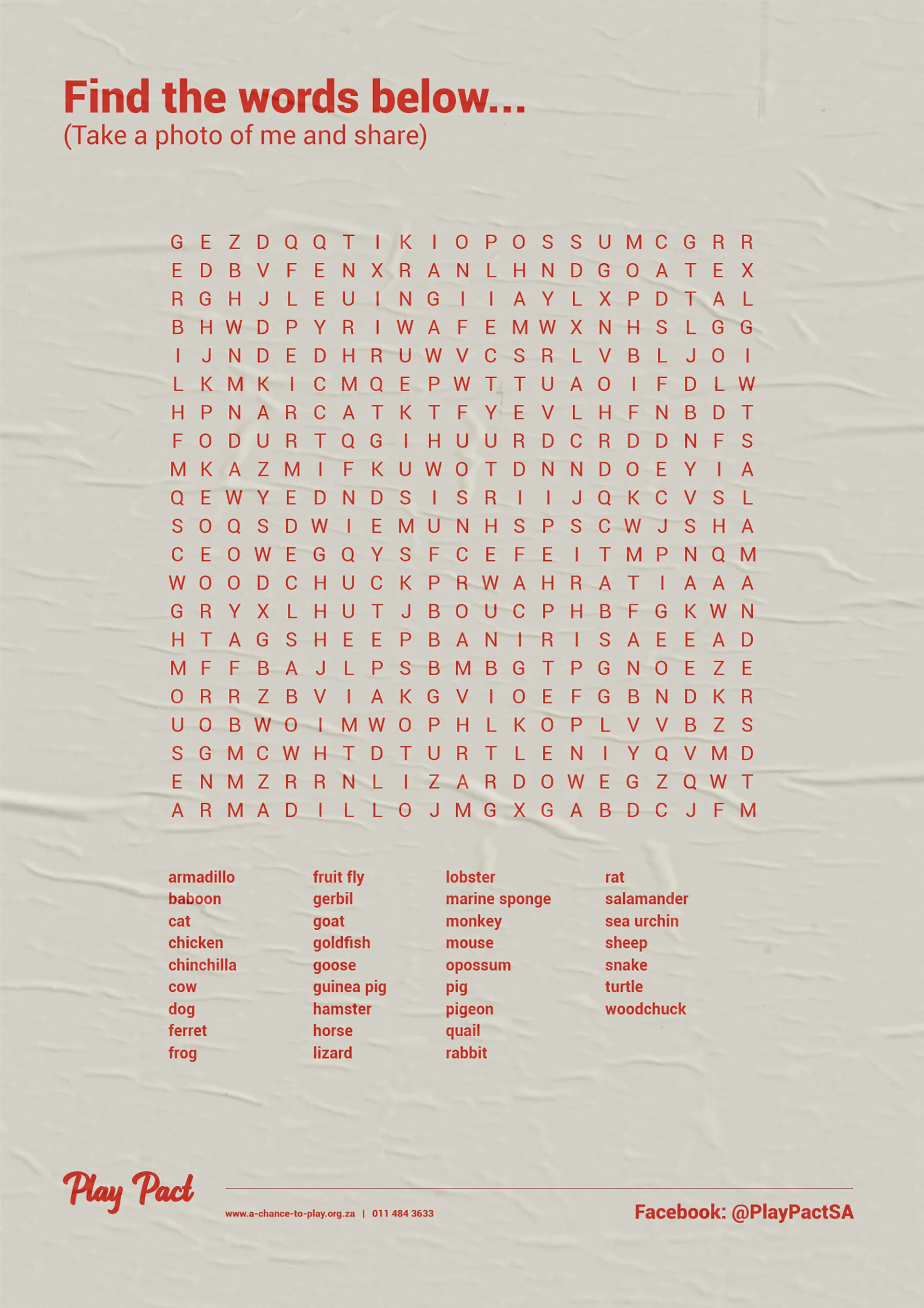 play_pact_brand identiity_nectar_studio_l.jpg