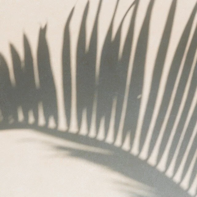 En exciting brand identity is on the way... 🤩