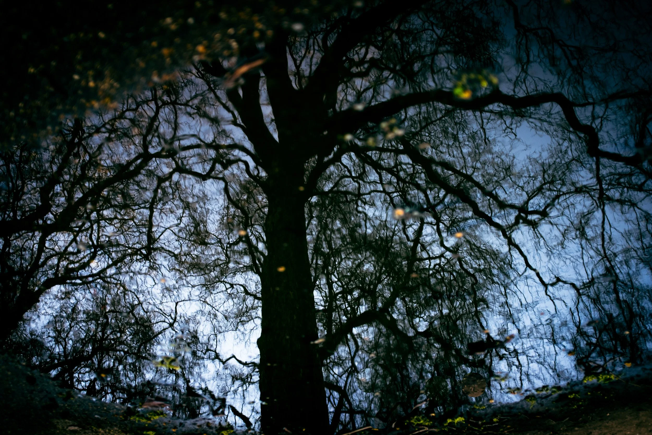 London-60.jpg