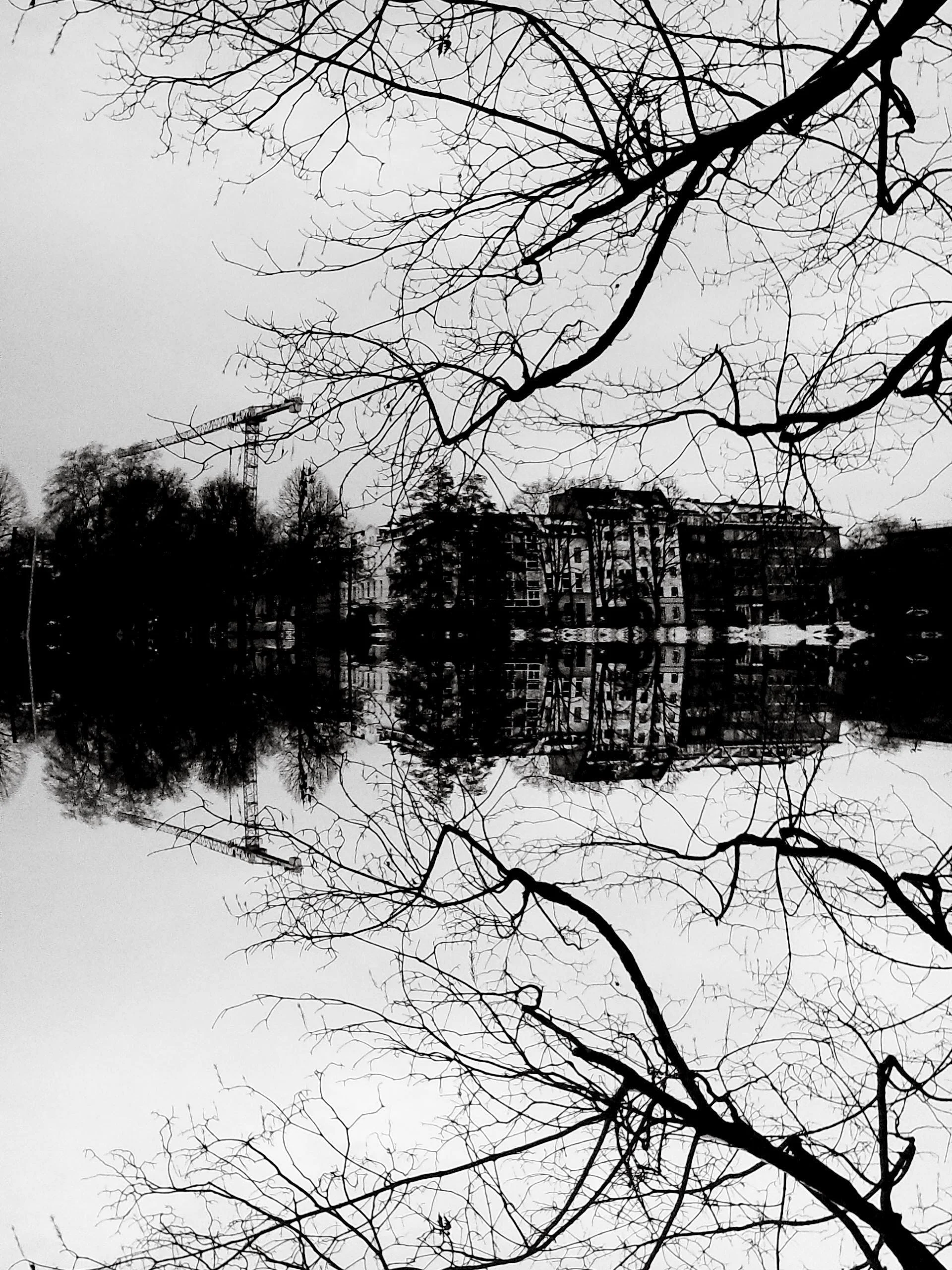 DSCF0058-52.jpg