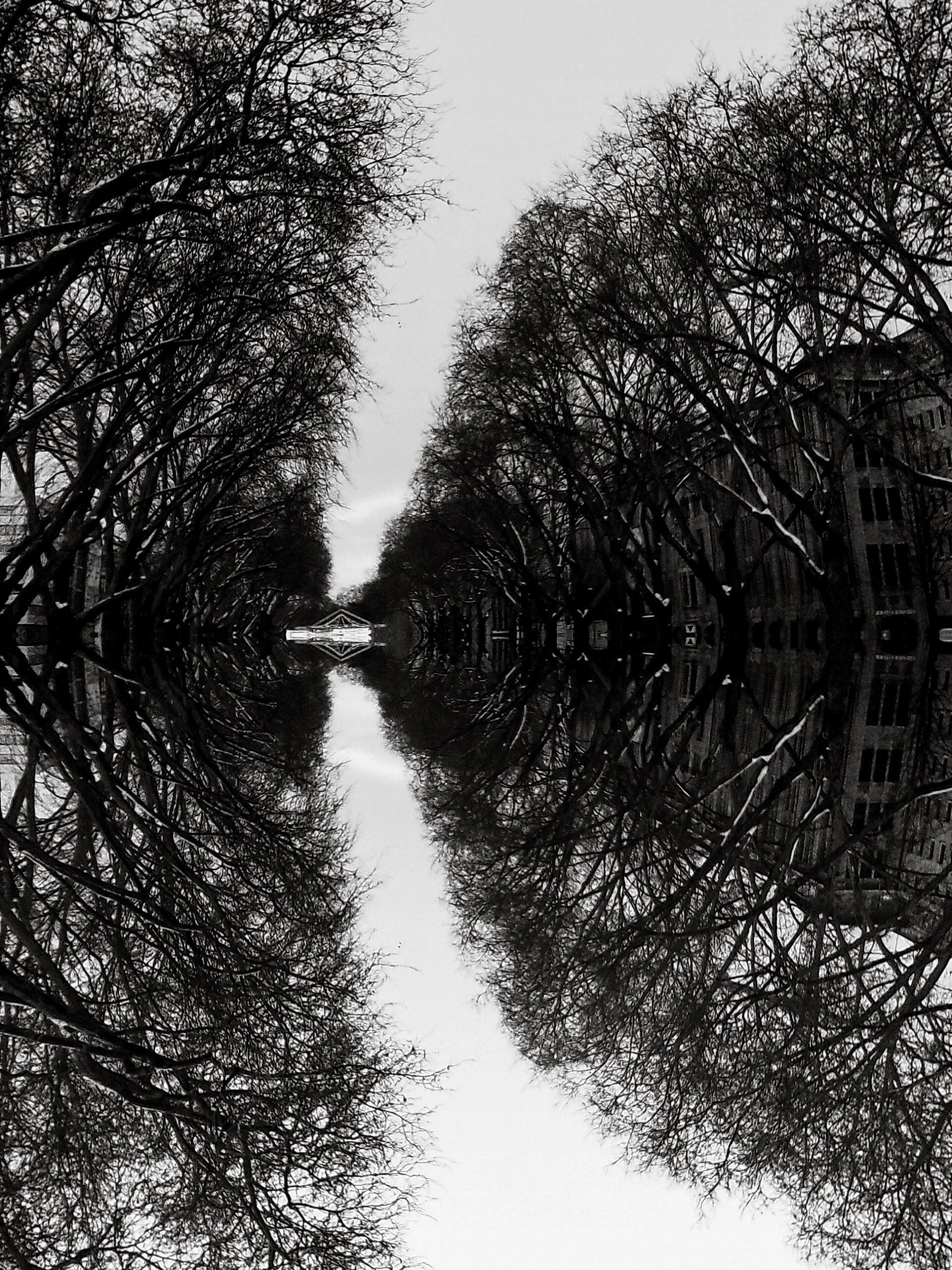 DSCF0103-86.jpg