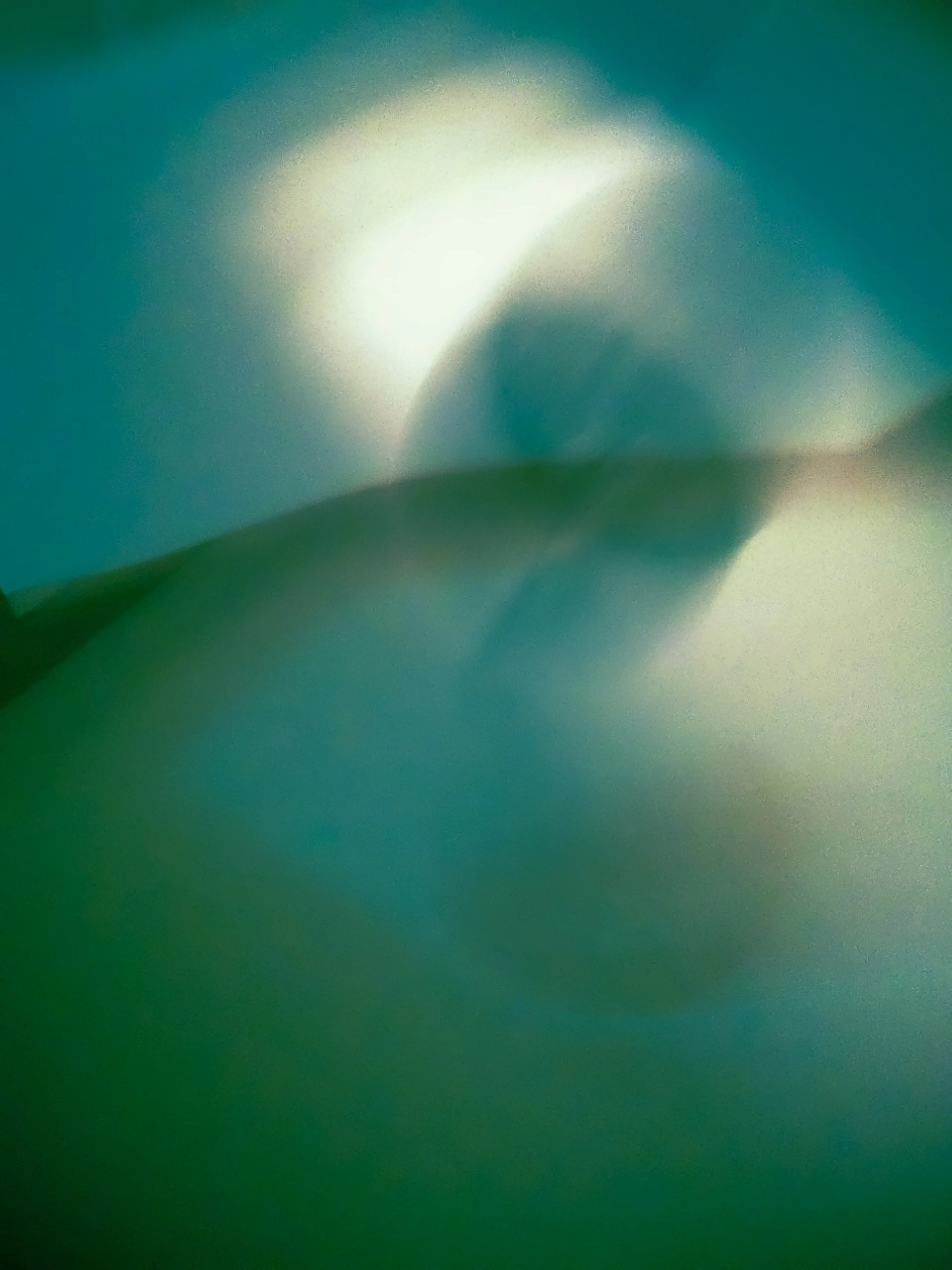 DSCF0152-121.jpg
