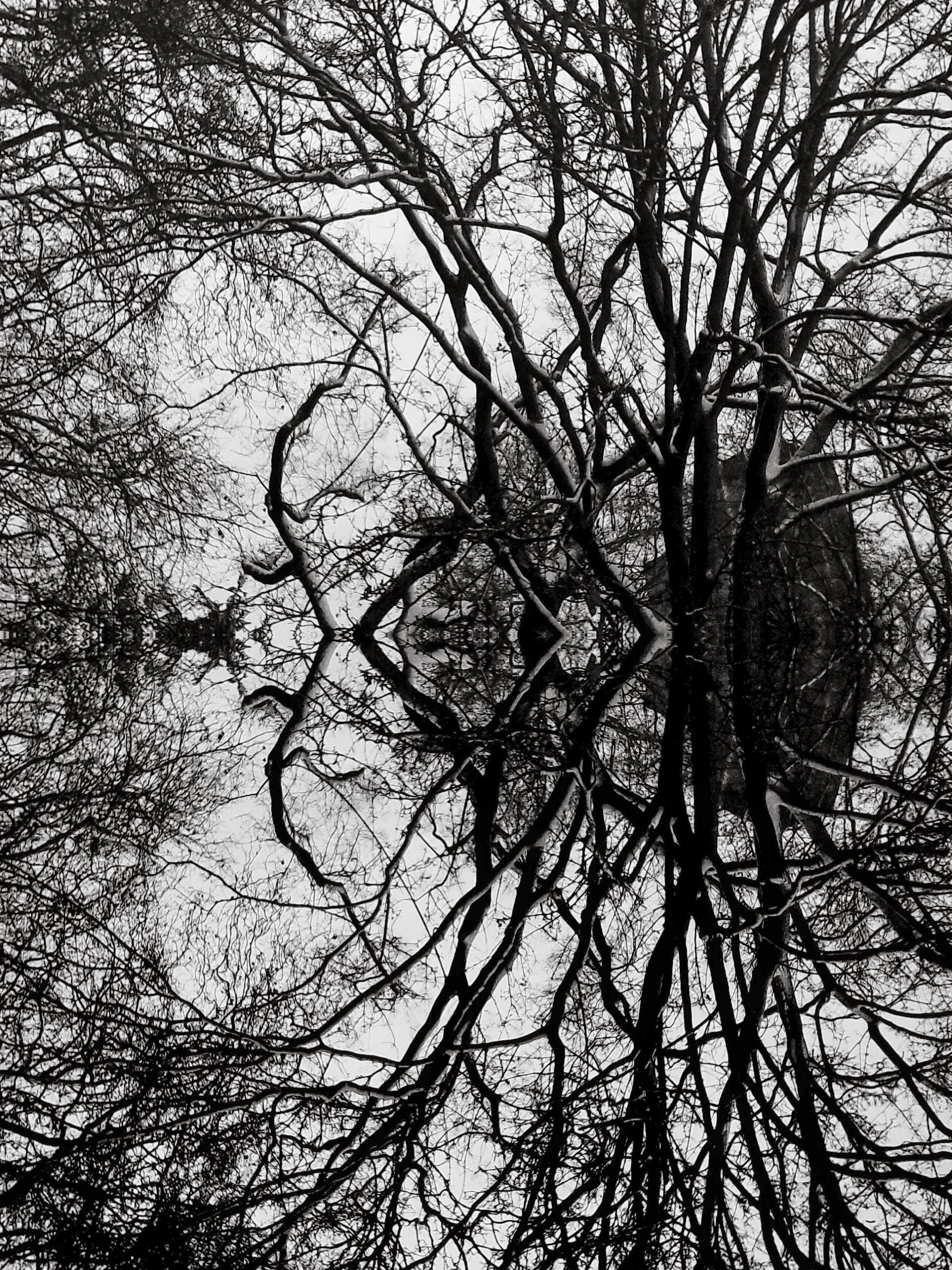 DSCF0022-19.jpg