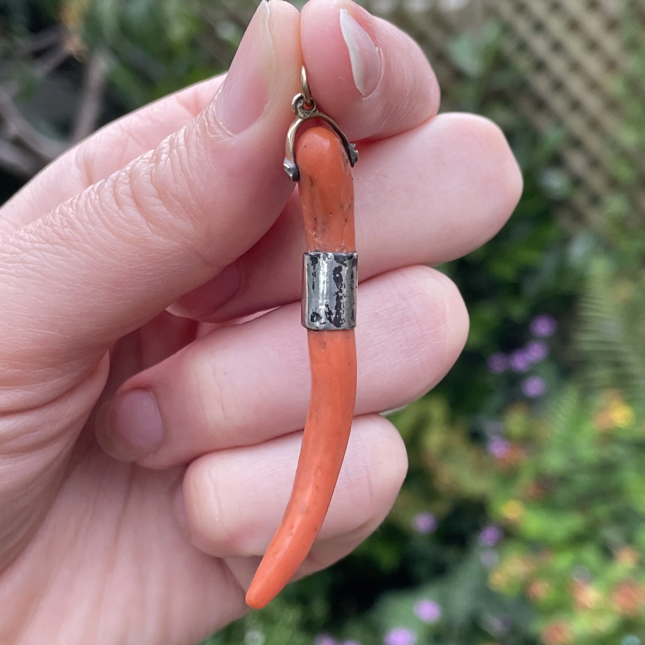Antique Huge Cornicello Amulet Pendant with Silver Band and Hinged Bale.
