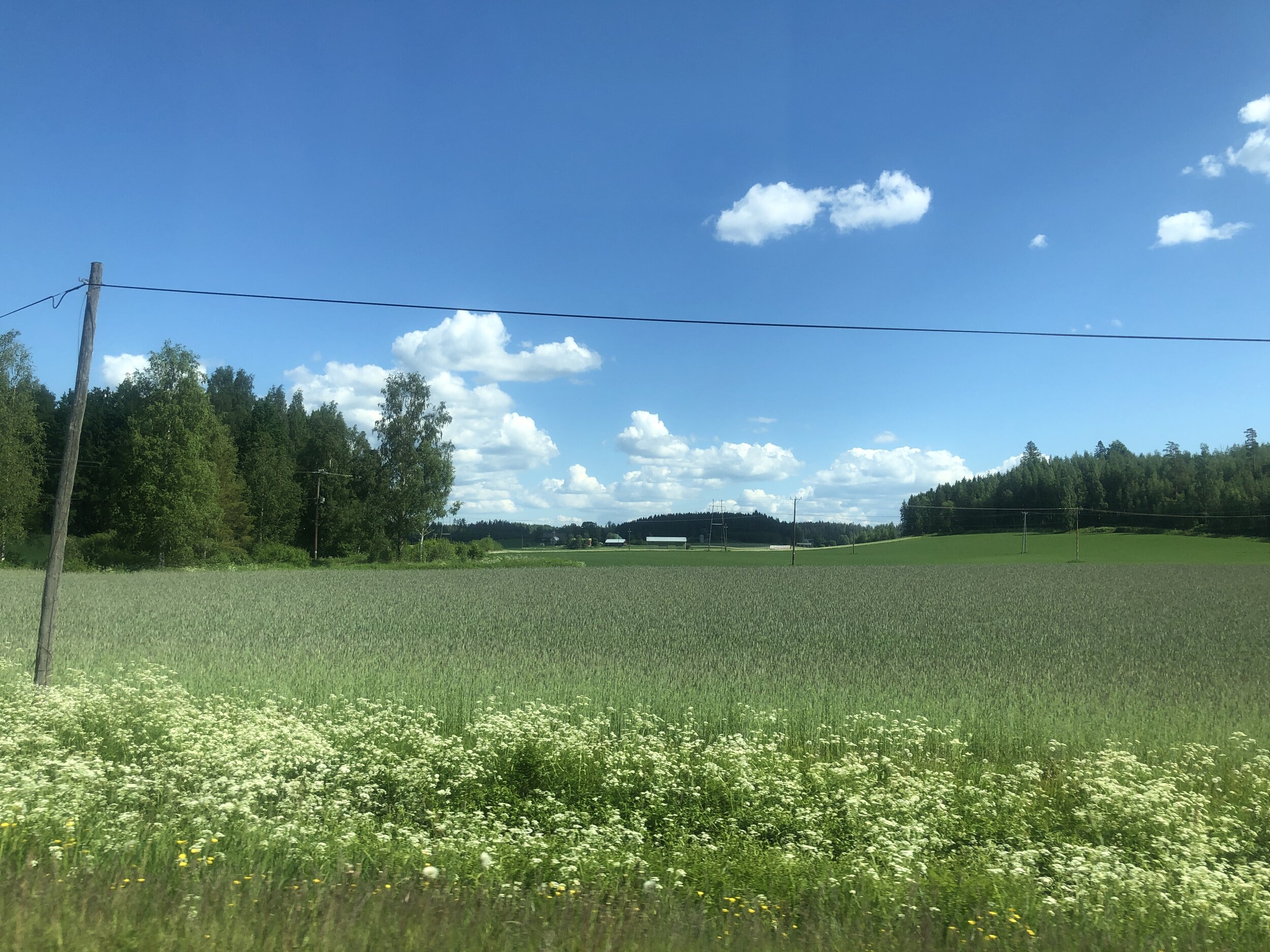 IMG_5917.jpeg