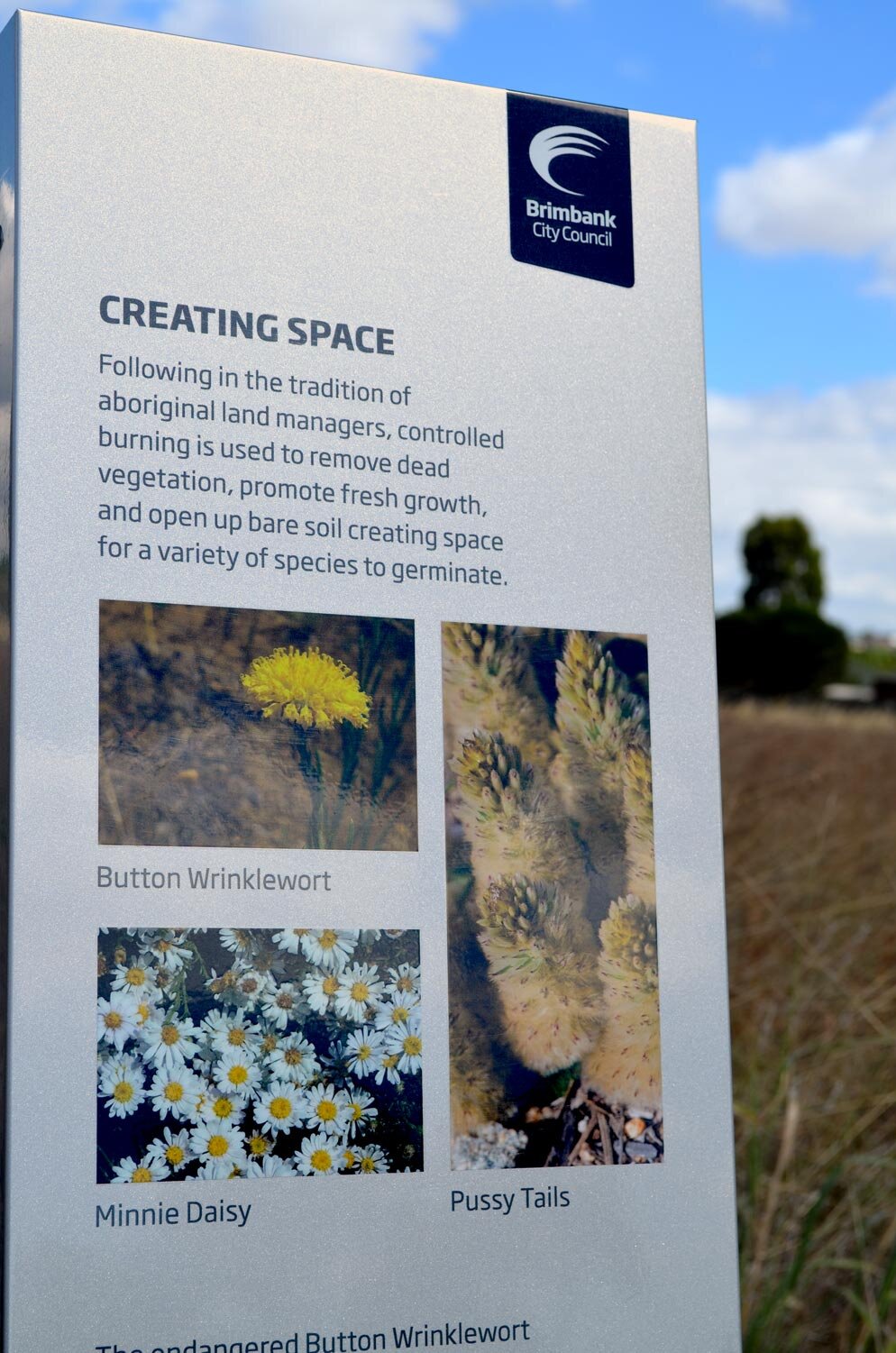 6-Brimbank-Pioneer-Park-Creating-Space-(DSC_1159).jpg