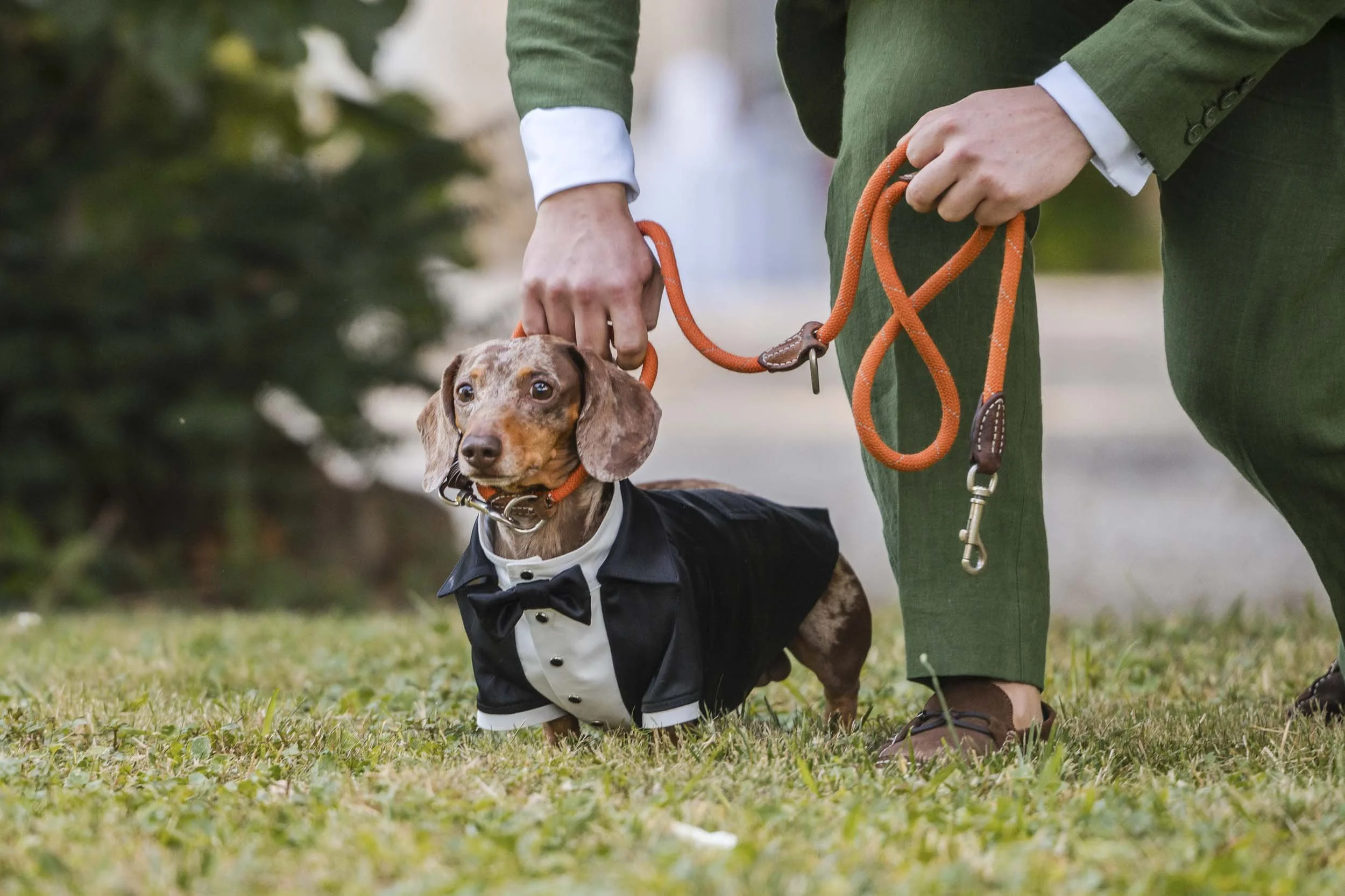 chateau-de-beauregard-wedding-photographer-041.JPG