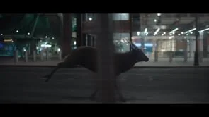 Glenfiddich Where Next? 30"