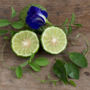 bergamot_patchouli.jpg