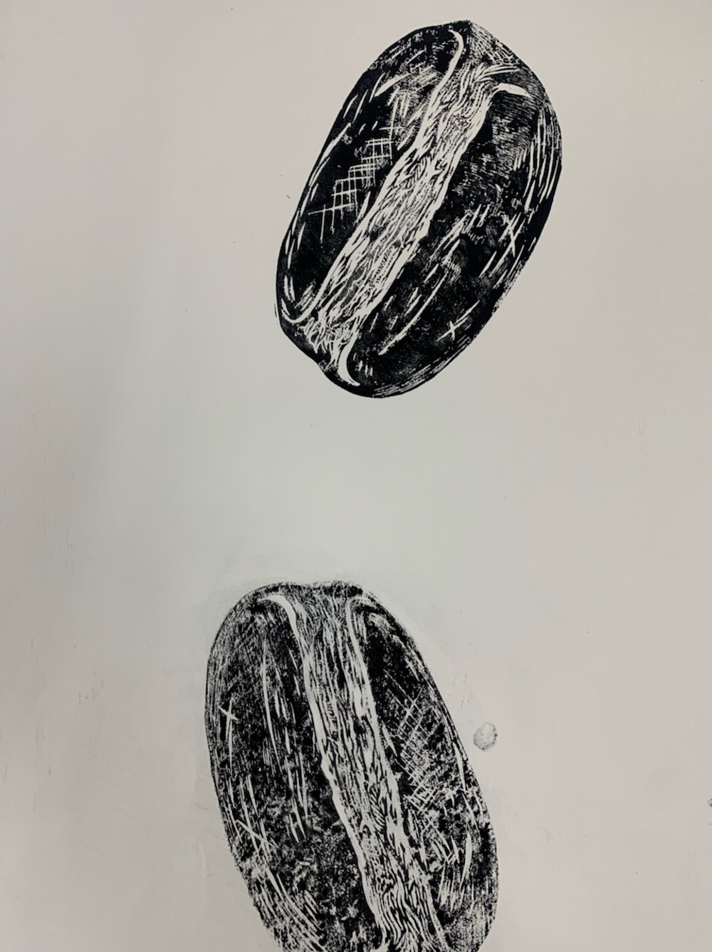 IMG_5906.jpeg