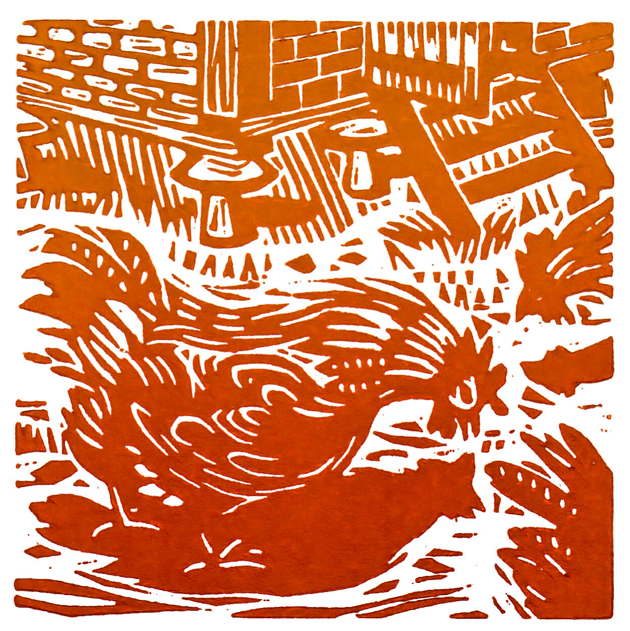 Chicken Yard