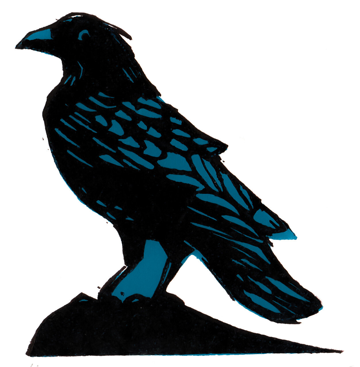 Crow black