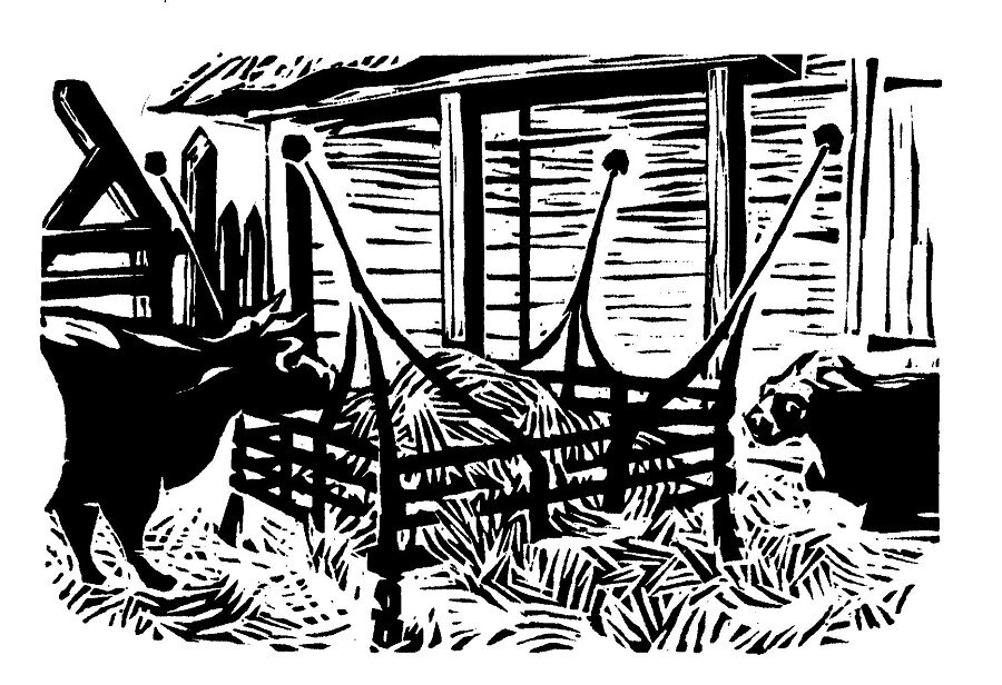 Cattle Feeder
