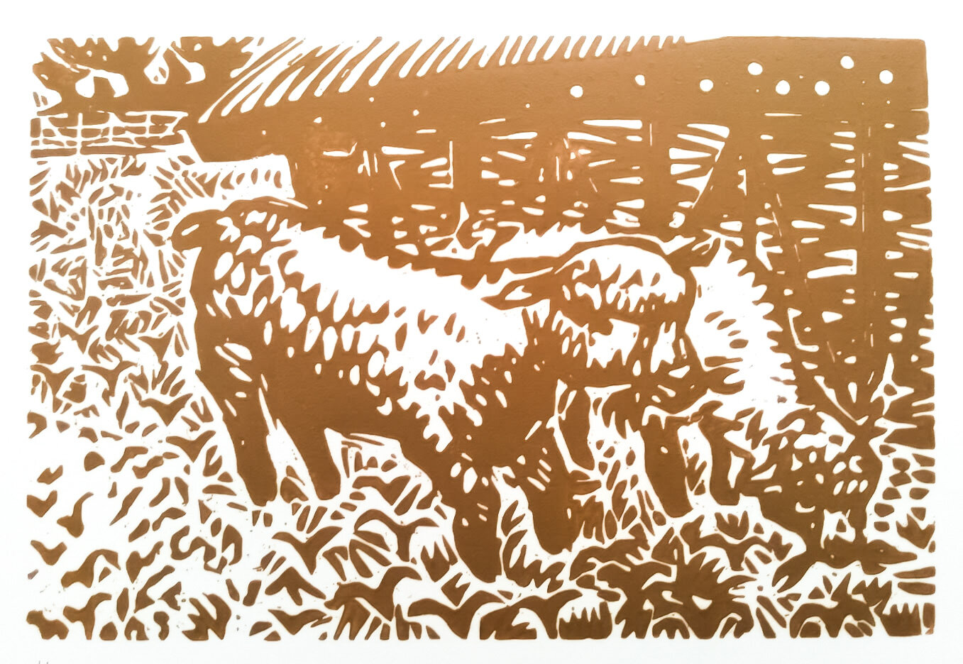 SouthDown Lambs
