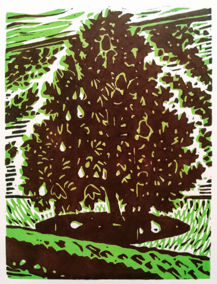 Pear Tree - West Dean