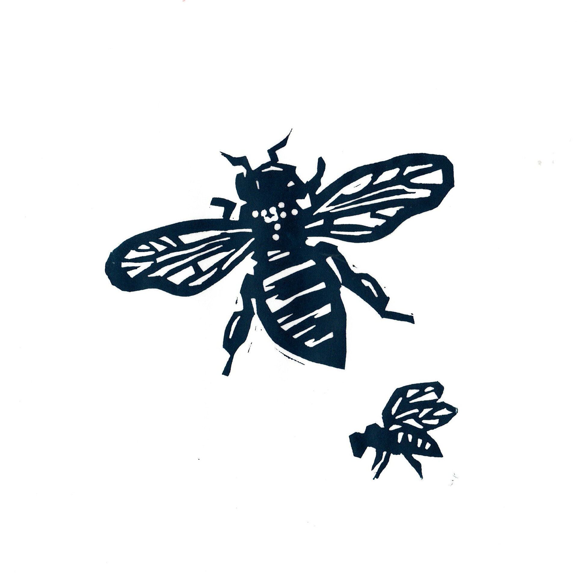 Bee