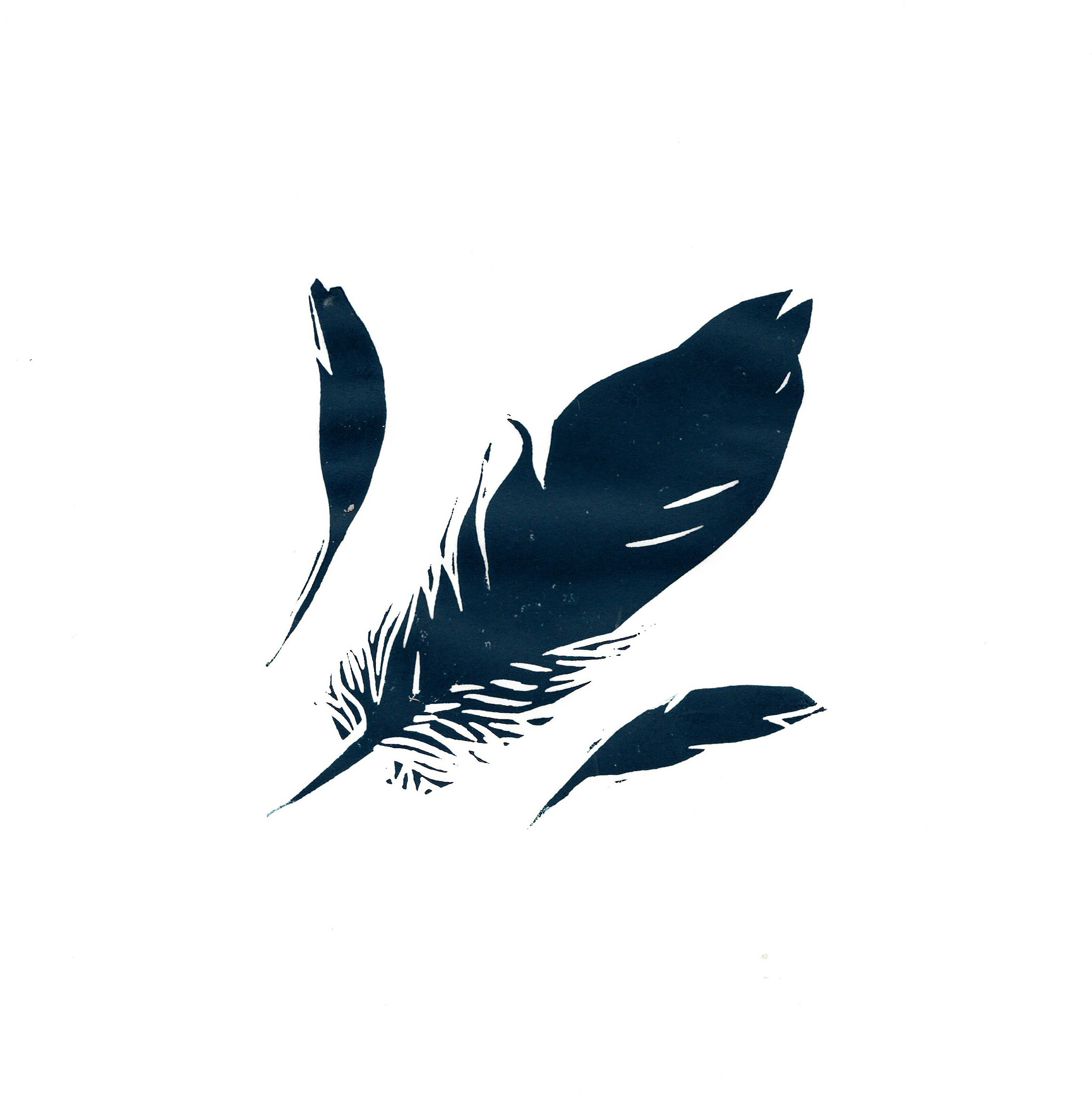 Feather
