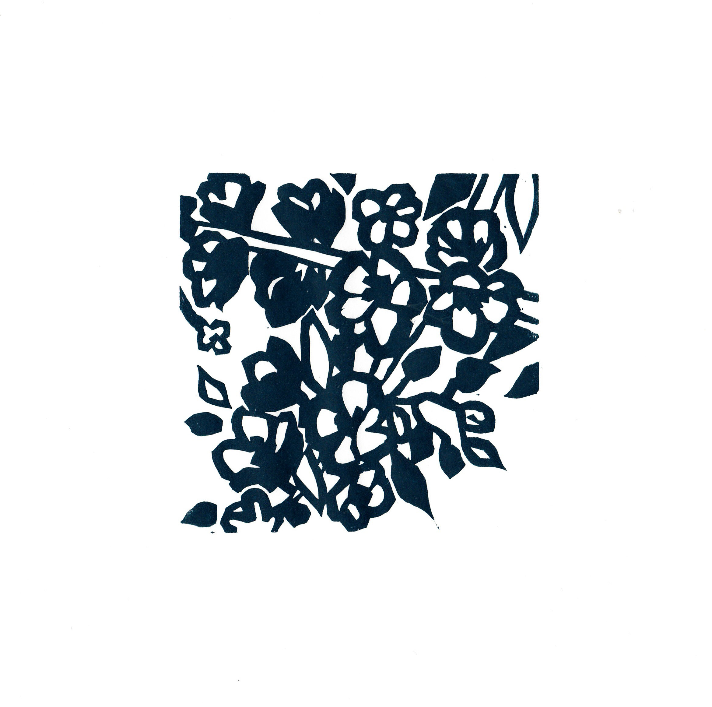 Blossom