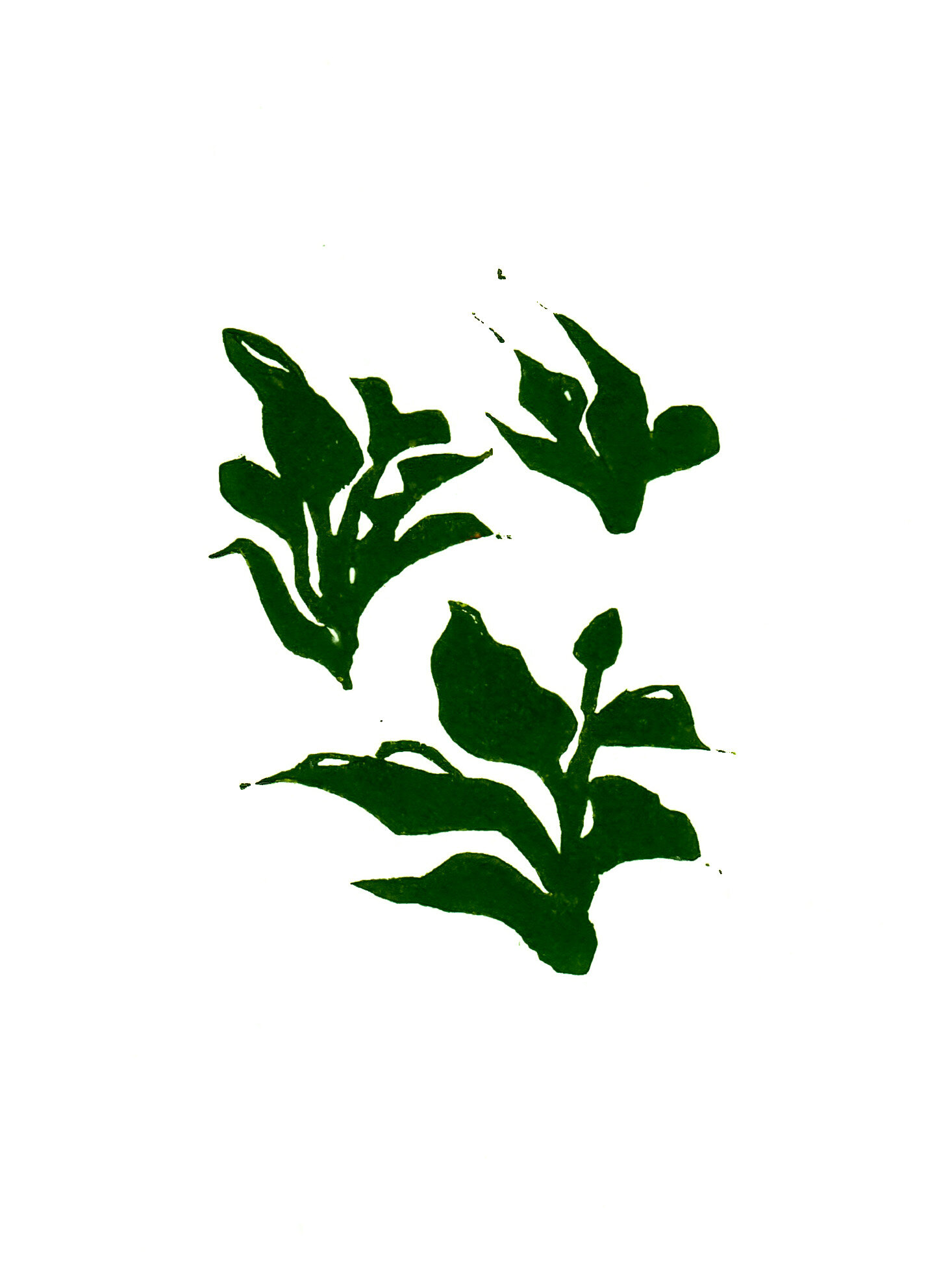 Veg