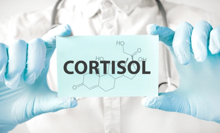 Cortisol in Perimenopause: Poor Cortisol Gets Blamed for Everything