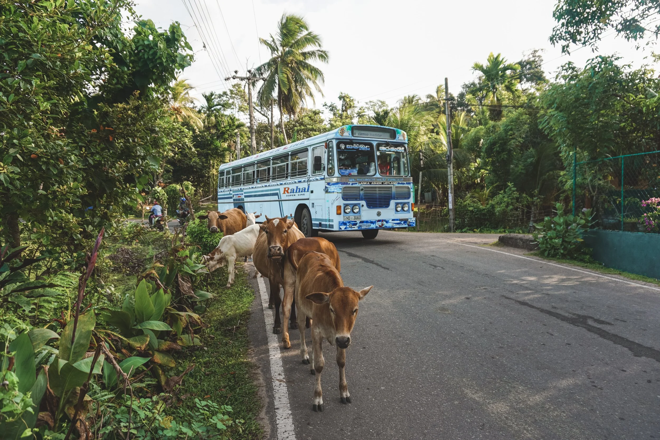 How to travel like a local