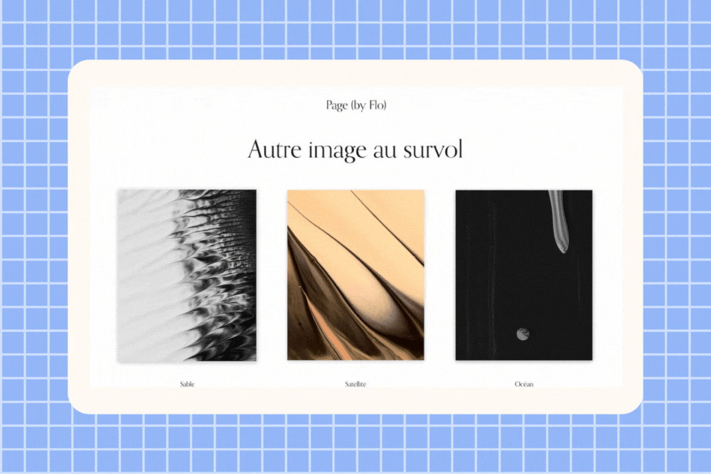 page-image-survol.gif