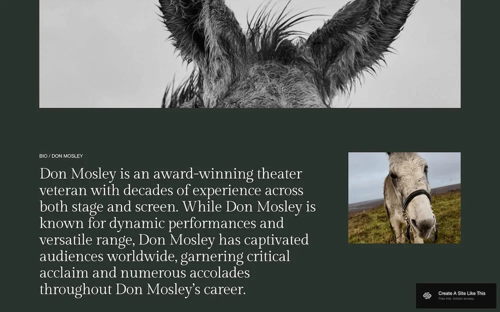 Template Mosley Squarespace - Pub 2025 - About