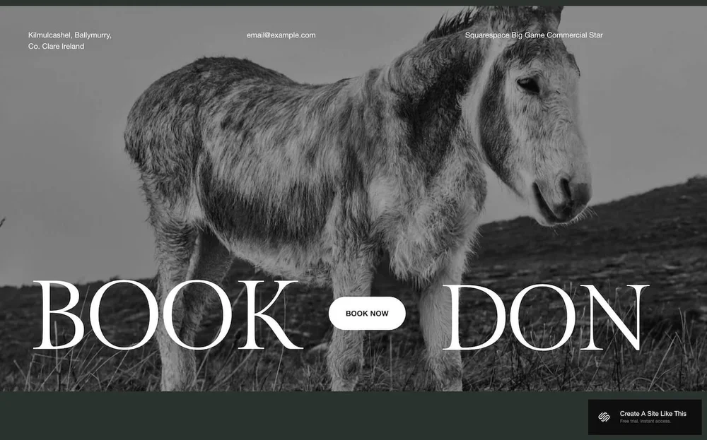 Template Mosley Squarespace - Pub 2025 - Book