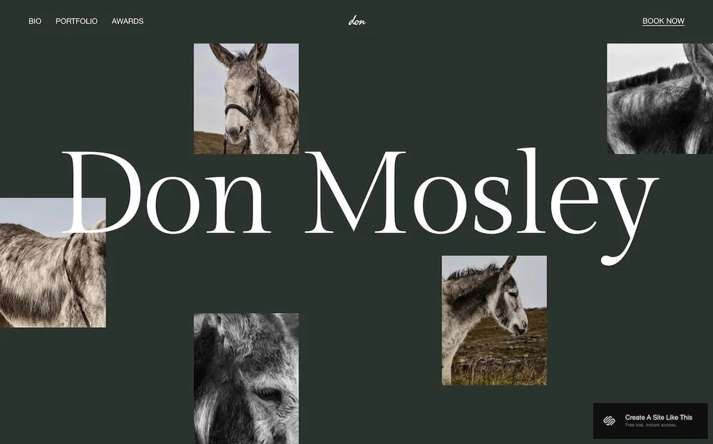 Template Mosley Squarespace - Pub 2025 - Accueil