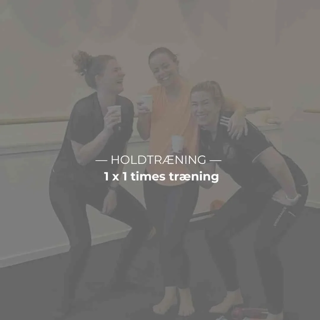 1 x 1 times holdtræning