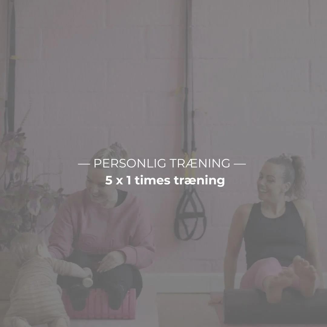 5 x 1 times personlig træning
