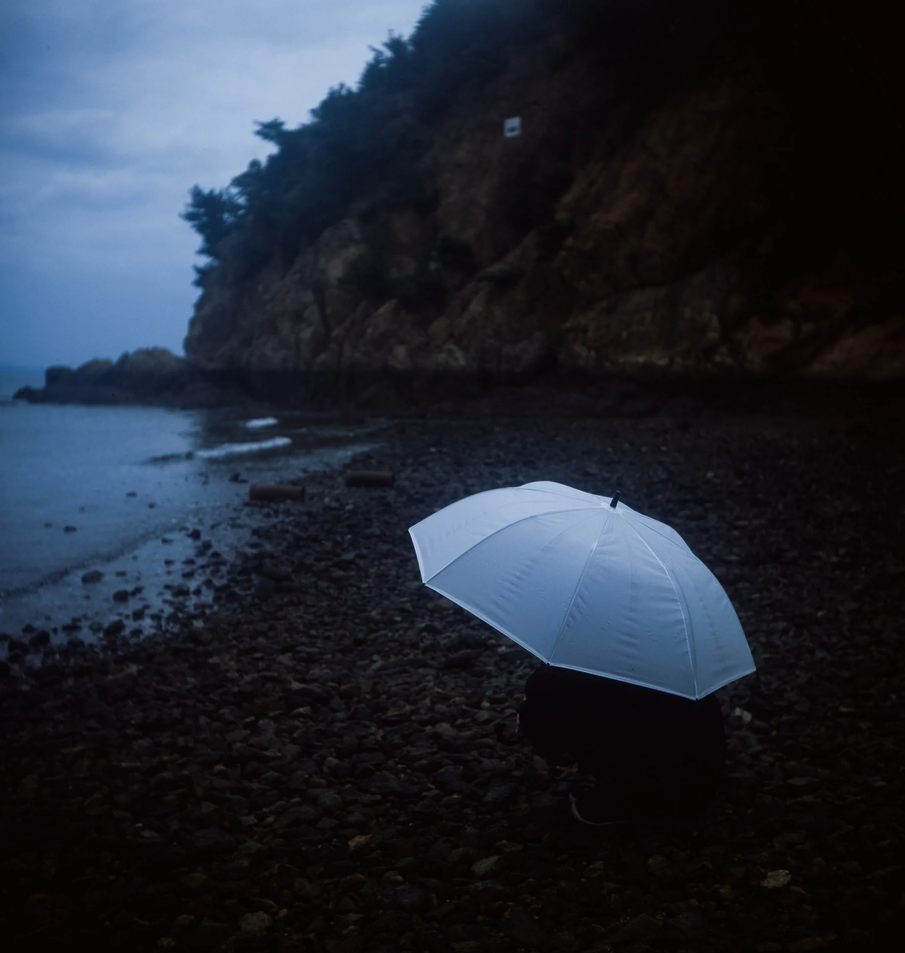 Naoshima_13.jpg