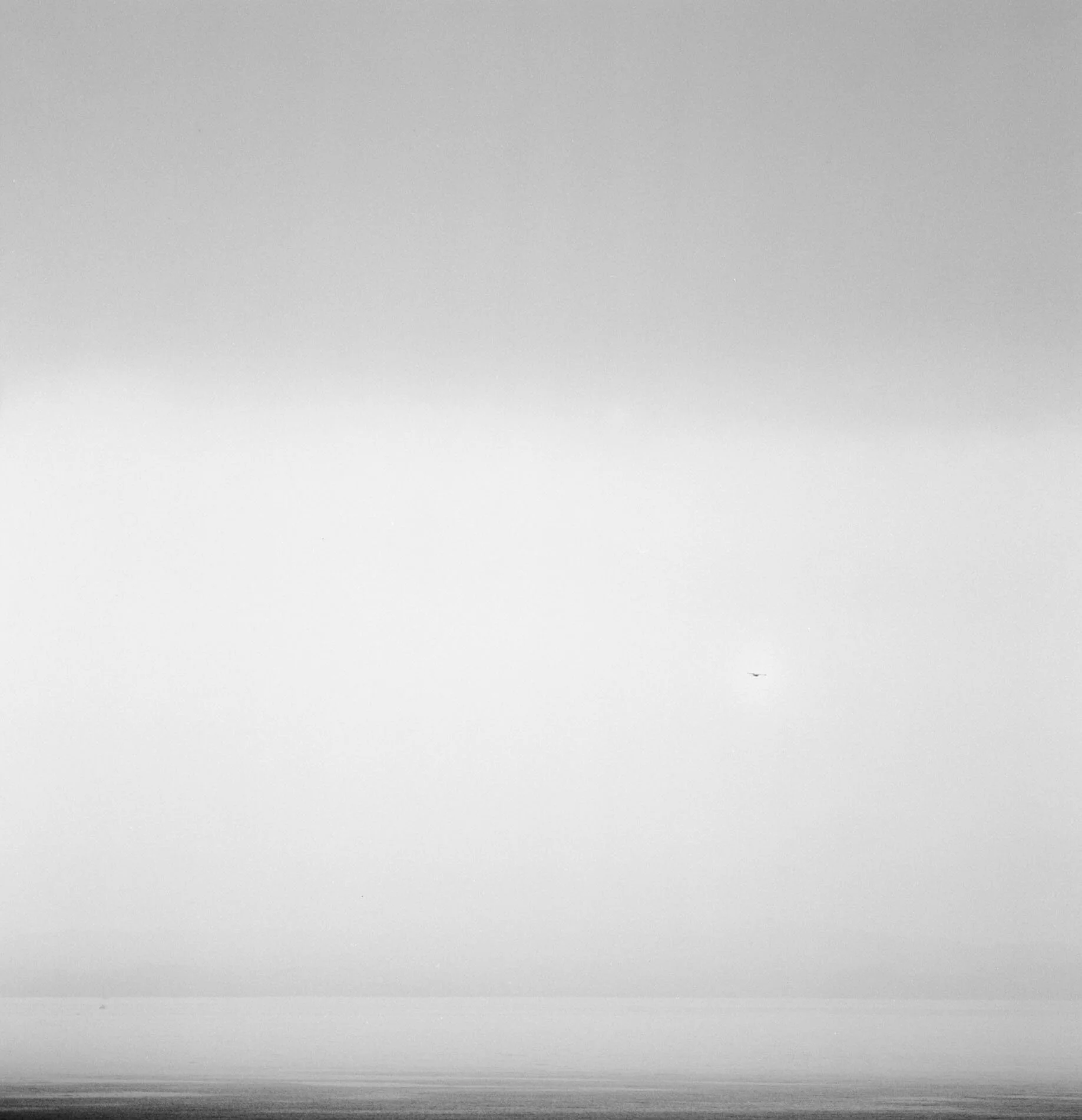 ISWT_11.jpg